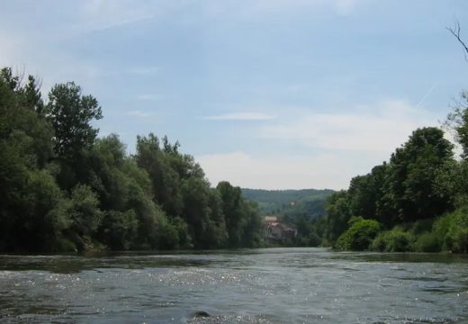 Hronika: Pao sa drveta na obalu Bosne, nije mu bilo spasa