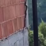 Prizor je zastrašujući: Snimljena zmija kako se penje uz zid kuće (Video)