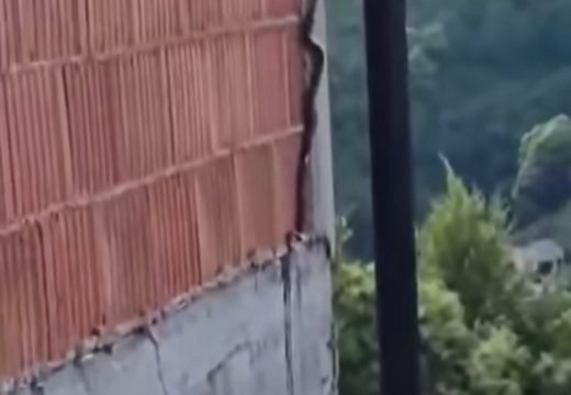 Prizor je zastrašujući: Snimljena zmija kako se penje uz zid kuće (Video)