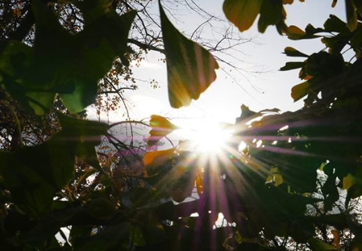 Uživajte u suncu: Poslijepodne moguća kratkotrajna kiša