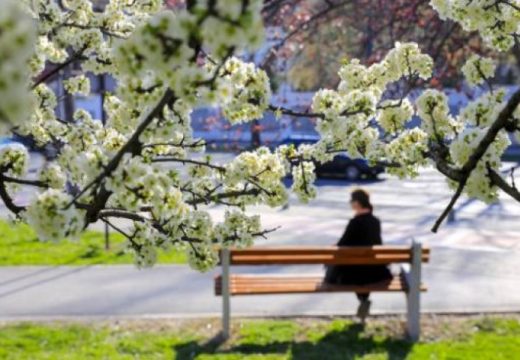 Temperatura i do 30 stepeni: Danas sunčano i toplo