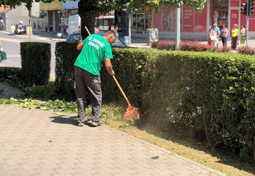 Pojačana briga o zelenilu: Nastavljene aktivnosti uređenja i održavanja gradskog zelenila u Bijeljini (Foto)