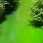BiH: Građani uznemireni, zelena tečnost ispuštena u rijeku (Video)