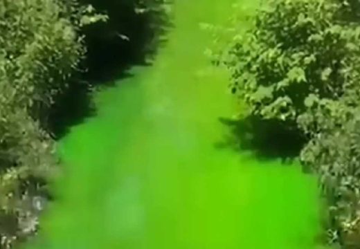 BiH: Građani uznemireni, zelena tečnost ispuštena u rijeku (Video)