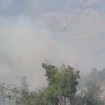 Vatra bukti kod Trebinja: Požar zahvatio minirano područje, građanima upućen hitan apel