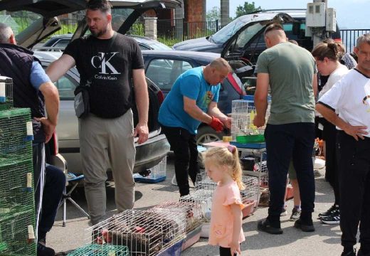 Uzgajivači stigli u Doboj: Šareni svijet životinja mamio poglede posjetilaca