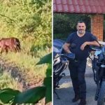 Igor Karakaš u rodnom selu doživio šok: “Ja na trešnji, medvjed ispod” (Video)