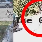 Pljačka u BiH usred bijela dana: Muškarac otrgnuo starijoj ženi lančić s vrata (Video)