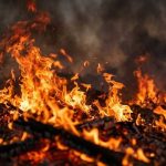 Hronika: Dijete (6) stradalo u požaru u Banjaluci