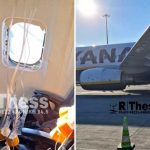 Drama na letu Solun – Minhen: U avionu “Ryanaira” pukao prozor, Srbina držali da ne ispadne