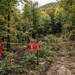 BHMAC: Planinarite, berete gljive ili idete u ribolov? Obratite pažnju na ove znakove širom BiH (Foto)