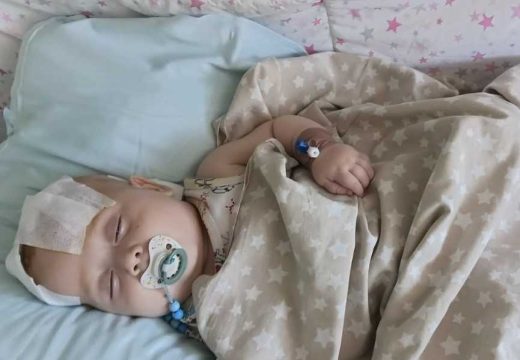 Mali Golub uspješno operisan u Beogradu: Humanitarna akcija i dalje traje