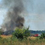 Bijeljina: Izbio požar na njivi, intervenisali vatrogasci