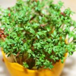 Mala nutritivna zvijezda: Koliko je kresa zaista zdrava?