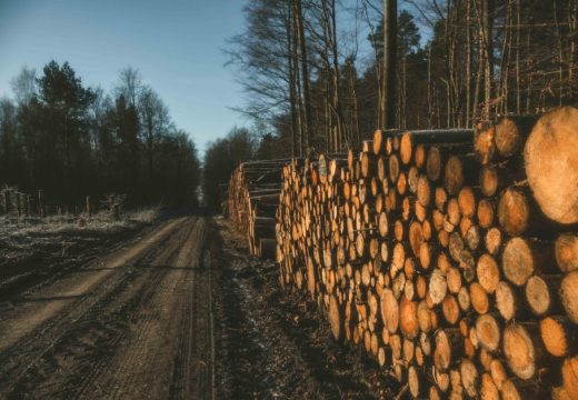 Popust za “redovnu mušteriju” koji i dalje boli: Drva skuplja i do 40 KM, građani kukaju, a izbora nemaju