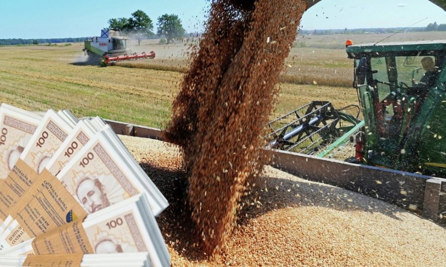 Poljoprivreda