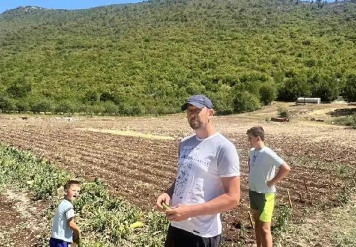 Gubici ogromni: Nevrijeme opustošilo baštu porodice Duka iz Berkovića