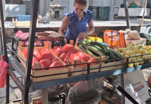 Zelena pijaca u Bijeljini: Savkini rekordni primjerci paradajza (Foto)
