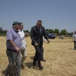 Premijer Minić obišao žetvu u Srpcu: Očekuje se jedna od najboljih godina za pšenicu