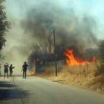 Makron: Situacija sa požarima u Francuskoj najteža od Drugog svjetskog rata