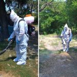 Ministarstvo: Apel uzgajivačima svinja povodom pojave afričke kuge svinja u Bijeljini (Foto)