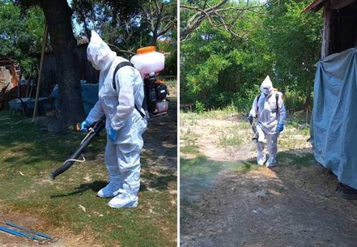 Ministarstvo: Apel uzgajivačima svinja povodom pojave afričke kuge svinja u Bijeljini (Foto)