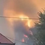 Veliki požar kod Herceg Novog, vatra prijeti kućama