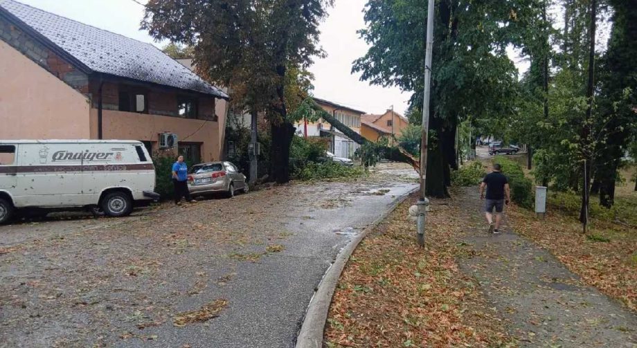 prnjavor