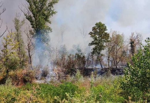 Bijeljina: Novi požar u Amajlijama