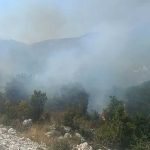Novi požar kod Trebinja: Gori nisko rastinje