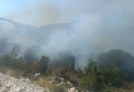Novi požar kod Trebinja: Gori nisko rastinje