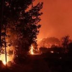 Šta uraditi ako vam se približava požar:  Najvažnija pravila koja mogu spasiti život