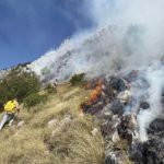 Herceg Novi: Požar se širi zbog jakog vjetra, kuće odbranjene, ima povrijeđenih (Video)