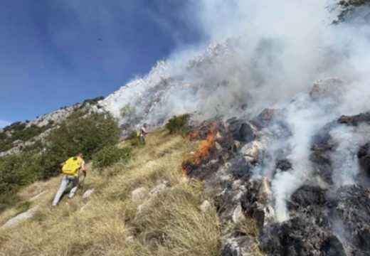 Herceg Novi: Požar se širi zbog jakog vjetra, kuće odbranjene, ima povrijeđenih (Video)