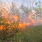 Borba sa vatrenom stihijom: Požar kod Doboja probio zaštitni pojas, vatra guta 100 dunuma šume