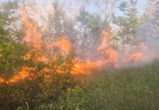 Borba sa vatrenom stihijom: Požar kod Doboja probio zaštitni pojas, vatra guta 100 dunuma šume