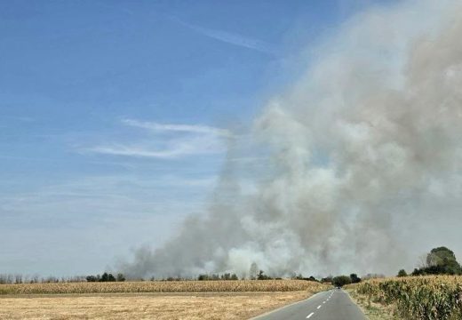 Ekipe i dalje na terenu: Požar u vikend-naselju u Amajlijama pod kontrolom