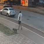 “Pao” u Srbiji: Uhapšen osumnjičeni za pokušaj ubistva Davora Dabića!
