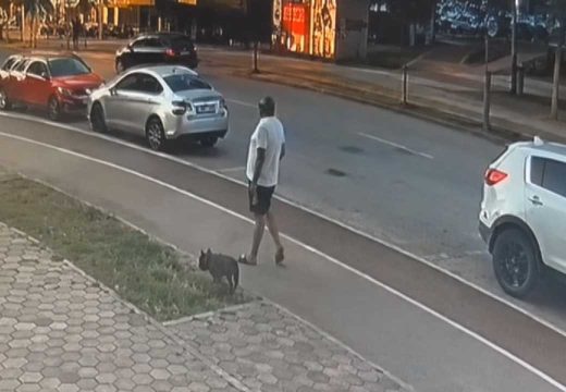 “Pao” u Srbiji: Uhapšen osumnjičeni za pokušaj ubistva Davora Dabića!