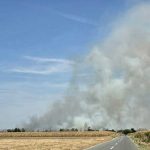 Požar u Amajlijama, na terenu brojne vatrogasne ekipe