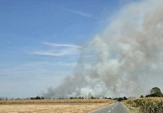 Požar u Amajlijama, na terenu brojne vatrogasne ekipe