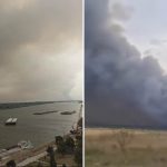 Nezapamćena katastrofa: Zastrašujući snimci požara u Deliblatskoj peščari (Video)