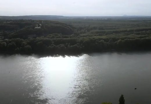 Region: Istorijski nizak nivo Dunava zaustavio brodove