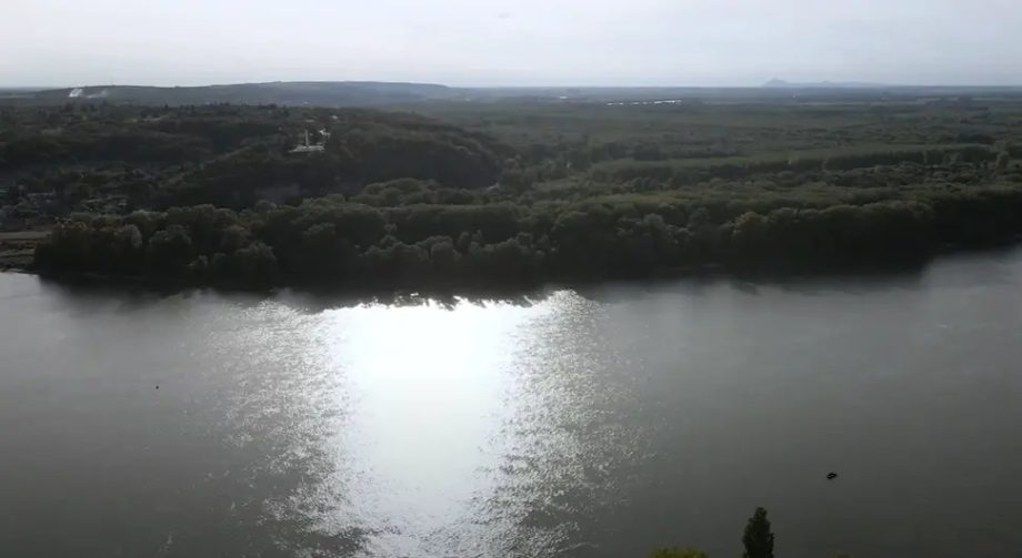 Dunava