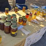 Dani meda u Bijeljini: Pčelari više nego zadovoljni prinosima meda (Foto)