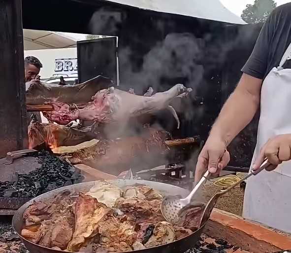  jagnjića