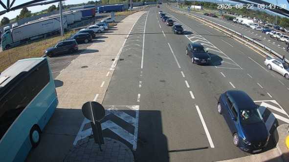 gužve