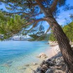 Bor pao na kupače na plaži u Hrvatskoj, povrijeđeno dvoje odraslih i dvoje djece