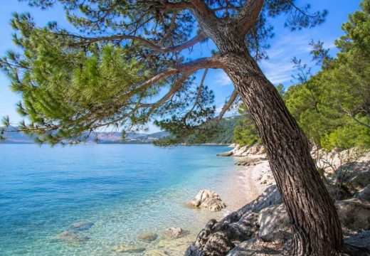 Bor pao na kupače na plaži u Hrvatskoj, povrijeđeno dvoje odraslih i dvoje djece