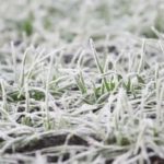 Jesen kuca na vrata: Sutra hladno sa mrazom, evo gdje će temperatura pasti u minus
